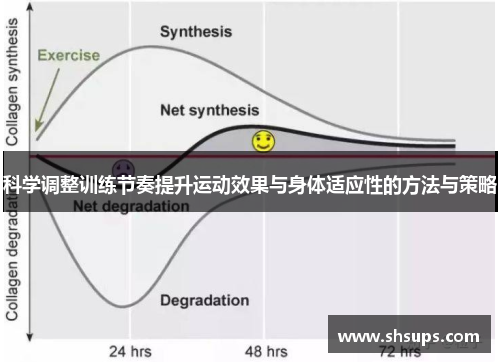 科学调整训练节奏提升运动效果与身体适应性的方法与策略
